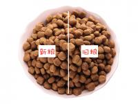 猫咪如何换粮？你真的了解吗？